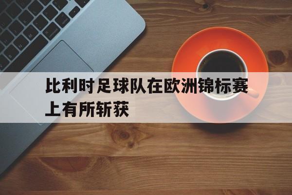关于比利时足球队在欧洲锦标赛上有所斩获的信息